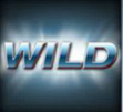Дикий символ - надпись Wild